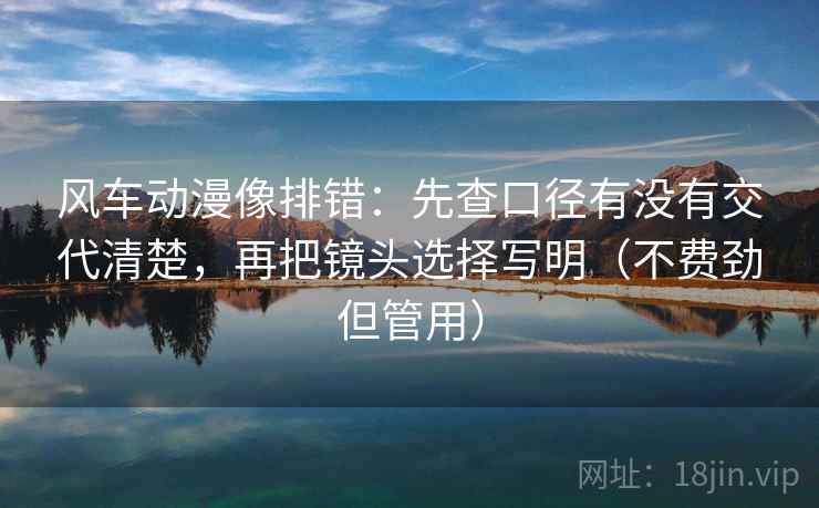 风车动漫像排错：先查口径有没有交代清楚，再把镜头选择写明（不费劲但管用）