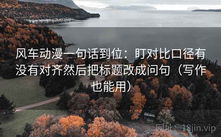 风车动漫一句话到位：盯对比口径有没有对齐然后把标题改成问句（写作也能用）